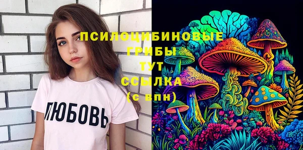 2c-b Армянск