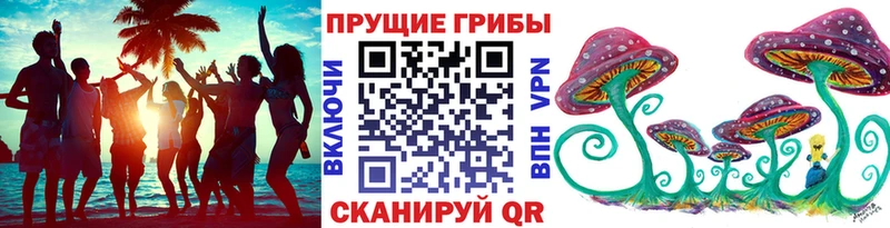 купить наркотик Коряжма mega ССЫЛКА Псилоцибиновые грибы прущие грибы