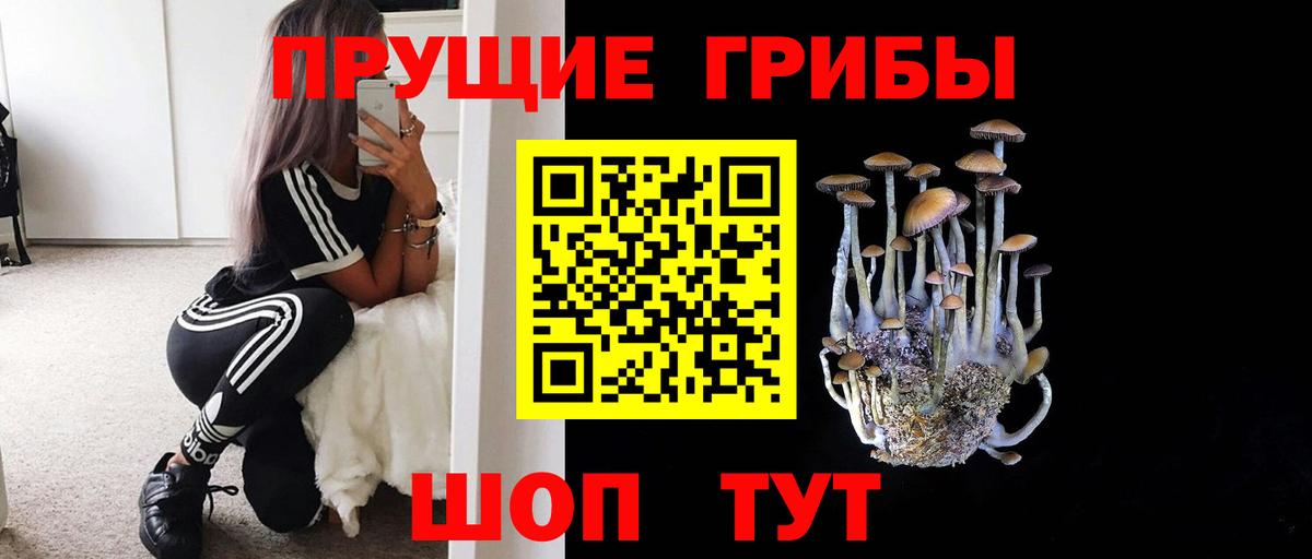 Галлюциногенные грибы мицелий Коряжма